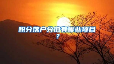 积分落户分值有哪些项目？