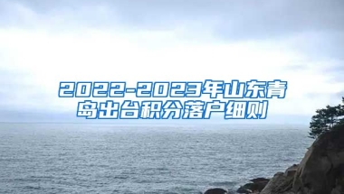 2022-2023年山东青岛出台积分落户细则