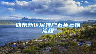 浦东新区居转户五年三倍流程